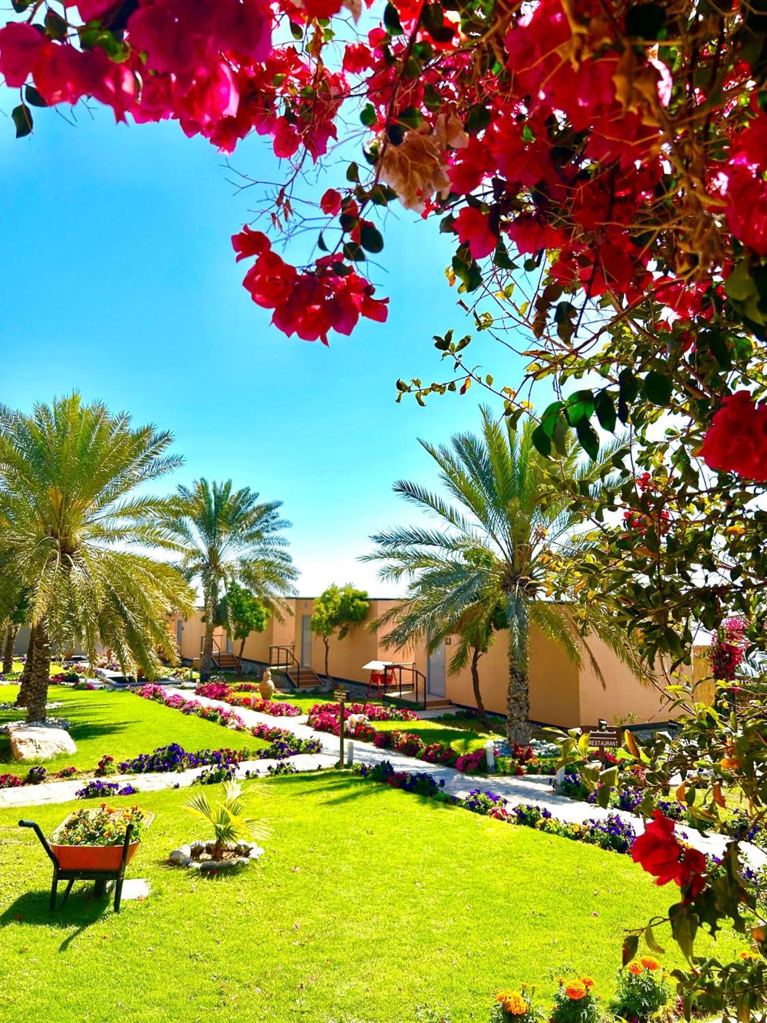 Hotel The View Al Ḩamrāʼ Exteriér fotografie